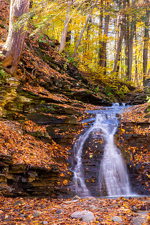 Watkins Glen State Park