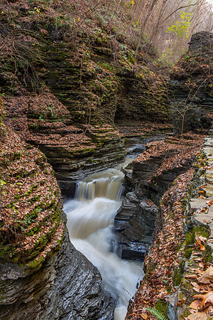 Watkins Glen State Park