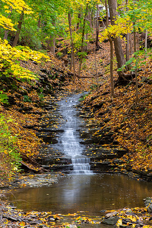 Watkins Glen Area