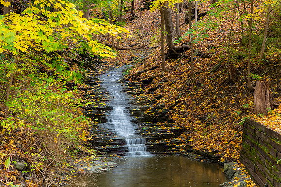 Watkins Glen Area