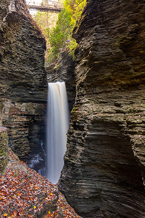 Watkins Glen State Park