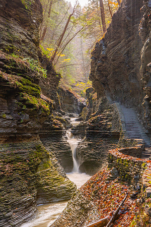 Watkins Glen State Park